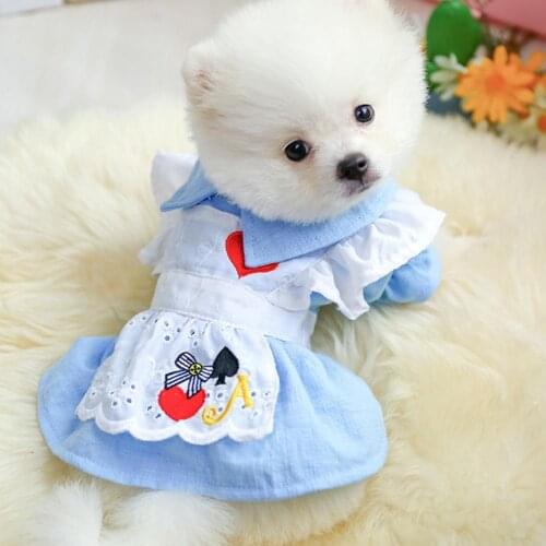 Pet Fall Winter Dog Cat Cute Cartoon Princess Style Pattern Warm Dress Clothes Jacket Cloak Prt Birthday Decoration
