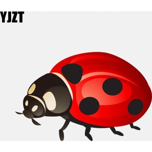 YJZT 11.8CM*7.6CM Car Sticker Red Beautiful Ladybug PVC High Quality Decal 11-00888