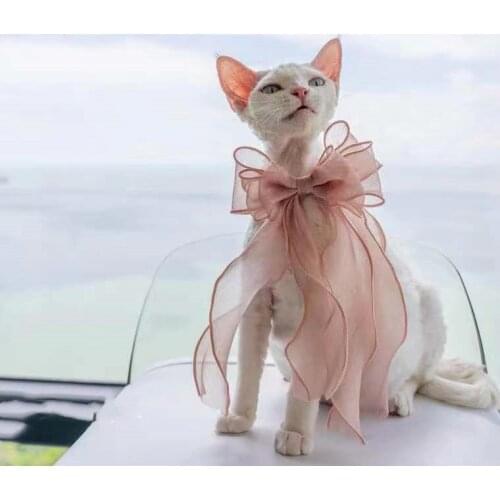 Cat Bowknot Ornament Muppet Long-haired Cat Saliva Towel Bib Collar Photograph Dog Headdress cat assessoires kitten accessories