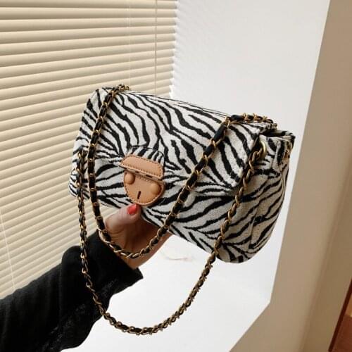 Canvas Bag Womens 2021 New Fashion Chain Single Shoulder Messenger Bag Small Square Bag Purses and Handbags Luxury Designer