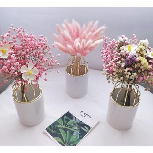 Ins wind net red dried flower ornaments all over the sky don't forget me crafts diy