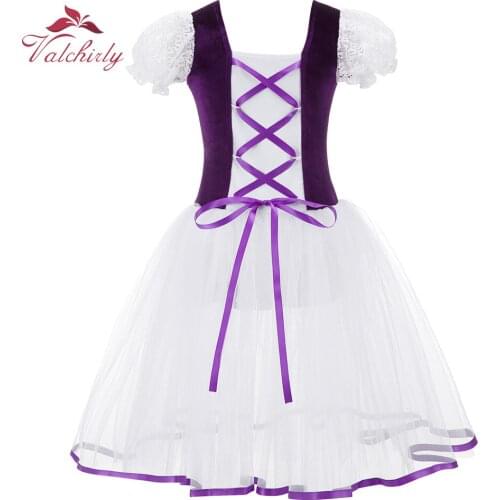 Purple Professional Ballet Tutu Dress Dance Costumes for Stage Performance