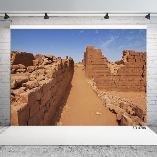 Desert Temple Ruins Photography Backdrops for Photo Studio Vinyl Cloth Backgrounds for Children Portrait Photophone Photocall
