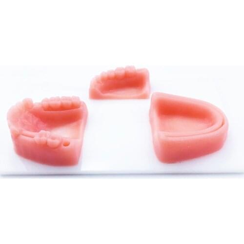Silicone periodontitis suture model Dental Oral/Gum suture training module