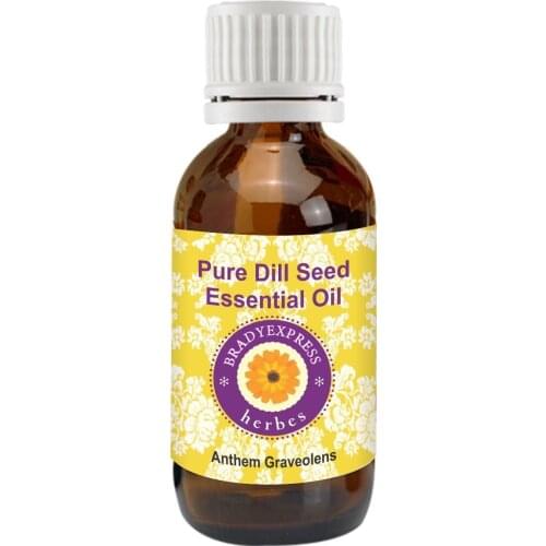 FRee Shipping Pure Dill Seed Essential Oil (Anthem graveolens) 100% Natural Therapeutic Grade 5ML