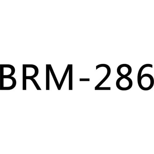 2019 Breathable Men Casual Shoes New Men Leather Shoes BRM-286