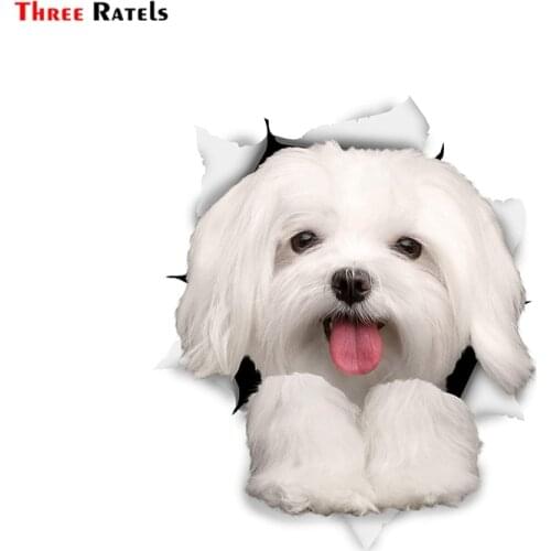 Three Ratels 1057 3D Dog Stickers Cute Maltese Stickers decal children kid wall stickers