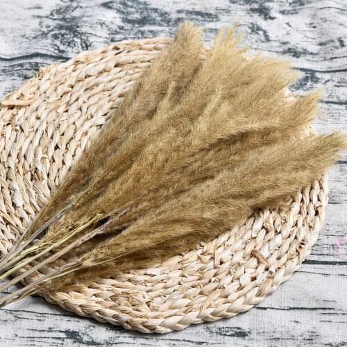 10pcs Artificial Pampas Grass Bouquet Bulrush Natural Dried Small Pampas Grass Phragmites Artificial Plants Wedding Flower Bun