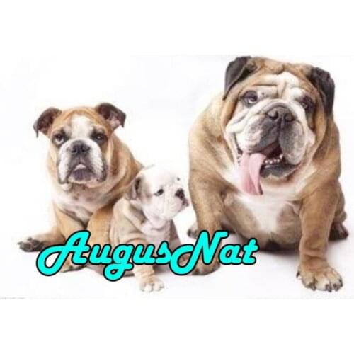 American pitbull dog diamond painting full round daimond mosaic animal diamant borderie plein sequin picture diamand embroidery