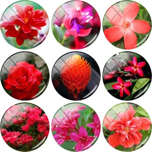 TAFREE Red Flowers 12mm/15mm/16mm/18mm/20mm/25 mm Photo Glass Cabochon Dome Flat Back DIY Jewelry Findings Making FL301