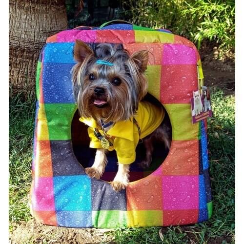 Tarçın Petshop Products For Dogs