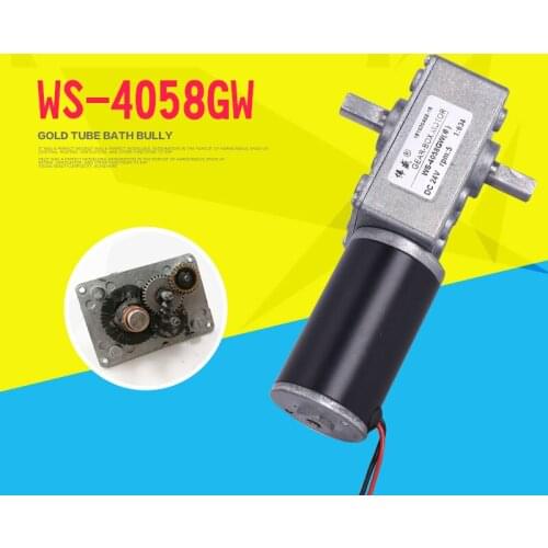 4058GW DC double shaft worm gear motor, 12V24V, 5-160RPM, adjustable speed, forward and reverse