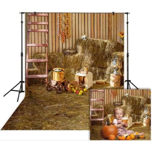 HUAYI Photography Backdrop Newborns Baby Child Photo Booth Background Halloween Holiday Pumpkins Studio Photocalls Props W-3487