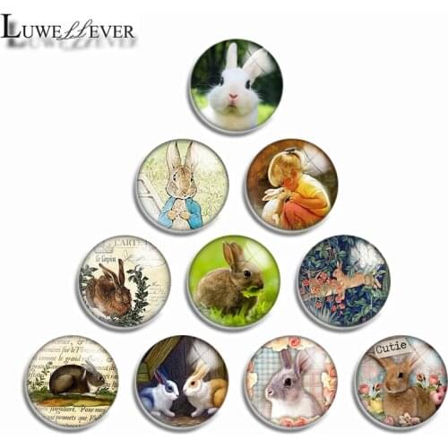 10mm 12mm 14mm 16mm 20mm 25mm 498 Cute Panda Mix Round Glass Cabochon Jewelry Finding 18mm Snap Button Charm Bracelet