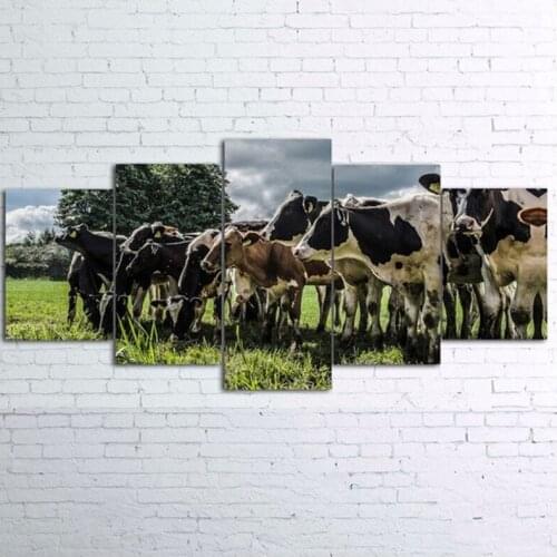 5D Diy diamond Painting full square round drill 5d Cross Stitch 5pcs Needlework mosaic diamond embroidery Netherlands CowZP-1921