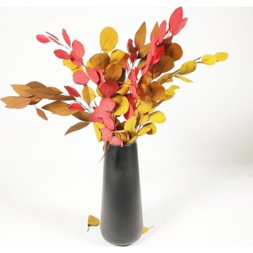 100g Artificial Eucalyptus Leaves Preserved Natural Plants Dried Leaf Centerpiece Craft Country Wedding Home Decoration Modern