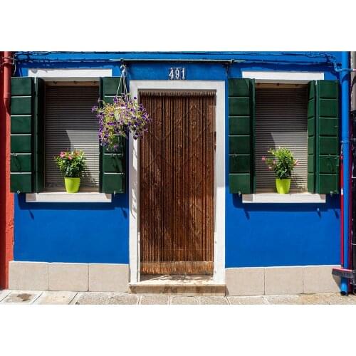 Photo Background Blue Wall Wooden Door Window Vinyl Cloth Backdrops for Children Baby Pets Portrait Photobooth Photography Props