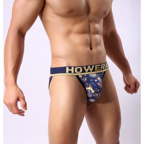 Howe ray Briefs Underwear Men Fashion Sexy Transparent Underwear Low waist V-type Mesh Briefs Men Underpants Gay