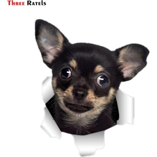 Three Ratels QD35 Cute 3D Torn Metal Design Chihuahuas Dog Sticker 3d Car