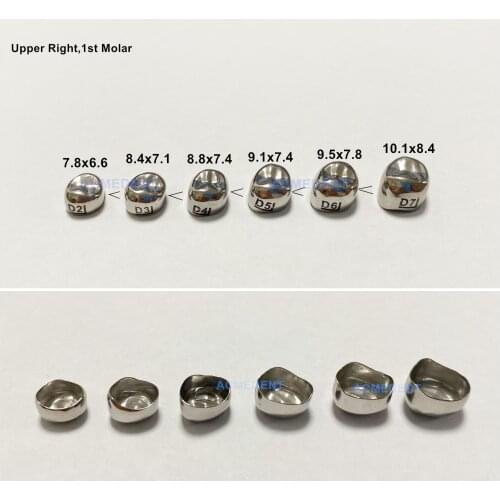 1Piece Upper Right 1st Molar Dental Kids Crown Primary Preformed Crowns SS Protect Deciduous Teeth Cap D=1ST D2-D7 ( 1 piece)