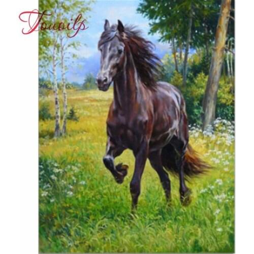 Diamant painting Diamond Embroidery DIY Diamond Painting Cross Stitch Kit Two horse 5D Needlework diamond round