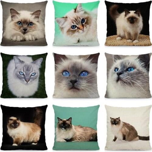 XUNYU Cute Birman Cat Cushion Cover 45x45 Throw Pillow Case Home Decoration Sofa Decorative Pillowcase DWM004