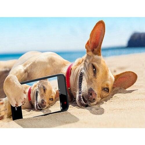 5D DIY square Full Diamond Embroidery icon dog diamond painting Cross Stitch animal pattern Rhinestones painting art Wedding