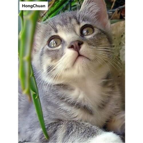 Cute Cat Full Square/Round 5D DIY Diamond Painting Crafts Mosaic Embroidery Home Decoration Christmas Gift New Year