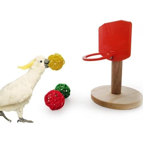 Pet Bird Chew Toy Creative Birdie Basketball Hoop Props Training Parrot Intelligence Toy With Balls Parakeet Macaw Bird Supplies