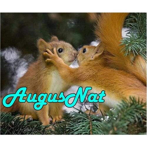 Animals diamond painting cross stitch squirrels kiss daimond embroidery kit puzzle pictures diamant mosaic canvas paint poster