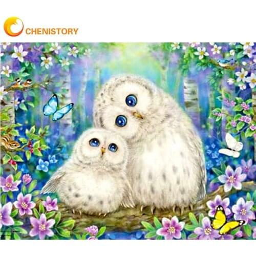 CHENISTORY Two White Owl Animal Painting By Numbers For Adults Diy Framed Handmade Unique Gift Home Living Room Decor Photos