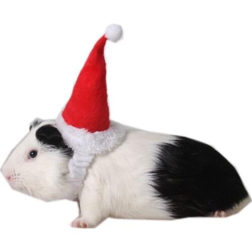 Small Animals Pet Santa Claus Hat Rabbit Hamster Guinea Pig Rats Festival Costume Christmas Cap With Band Pet Products Drop Ship