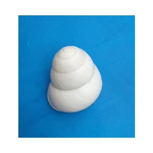 Natural small conch shells about 3 cm white silk snails aquarium fish tank landscaping decoration handmade DIY materials