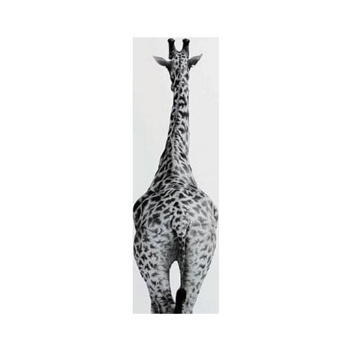 More style Woodland Hippo Zebra Giraffe Animals Butt Art Film Print Silk Poster Home Wall Decor 24x36inch