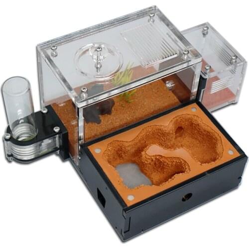 Yellow Soil Ant Farm with External Water Tower and Garbage Area Queen Breeding Area Ant Nest Anthill Castle Ant House Insect Box