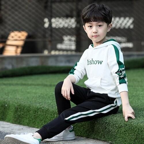 Boys Clothing Set Kids Cotton Children Clothes Set Cartoon Big Boy Children Sports Tracksuits Suits new kids clothes set