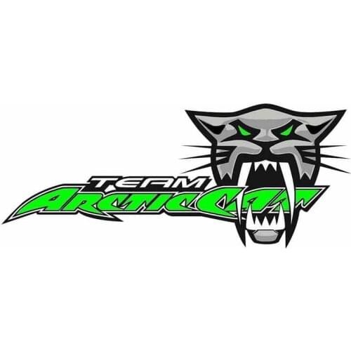Team Arctic Cat Roar Anime Funny Car Stickers Cartoon Vinyl JDM Bumper Trunk Truck Graphics Cover Scratches Waterproof Decal