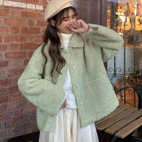 Women Elegant Warm Soft Fur Jacket Autumn Winter Faux Fur Coats Female Plush Pocket Overcoat