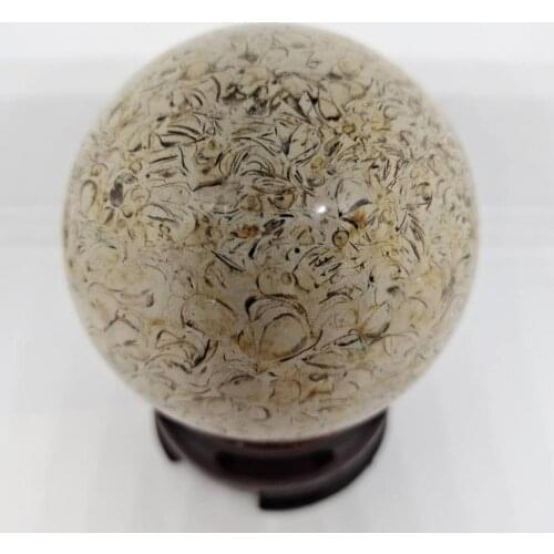 Natural dinosaur bone fossil sphere crystal ball natural madagascar stone healing crystal