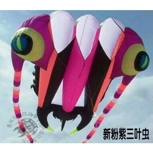Outdoor Trilobite soft kite Single line kite rainbow inflatable show kite wind sock Outdoor children games fluger wind pointer