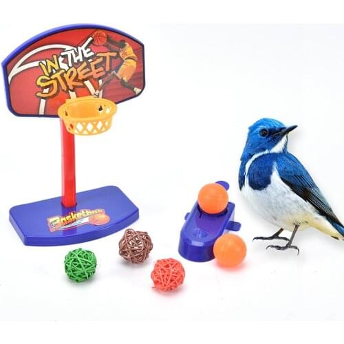 1SET Balls Pet Birds Chew Toy Parakeet Bell Balls Parrot Toys Birdie Basketball Hoop Props Pet Parrot Pet Products Supplies