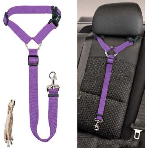 Macroupta Dog Harness