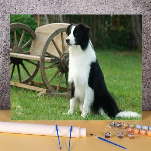 Animal Border Collie Painting By Numbers Set Oil Paints 40*50 Canvas Painting Loft Wall Picture For Wholesale