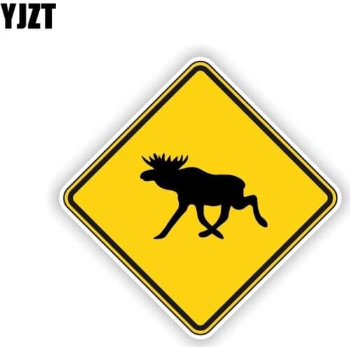 YJZT Shoe Accessories