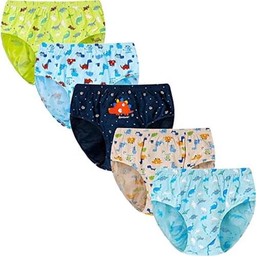 Sharely Sheep Infant Little Baby Boy Cotton Dinosaur Truck Shark Briefs Toddler Underwear 5 Packs Undies