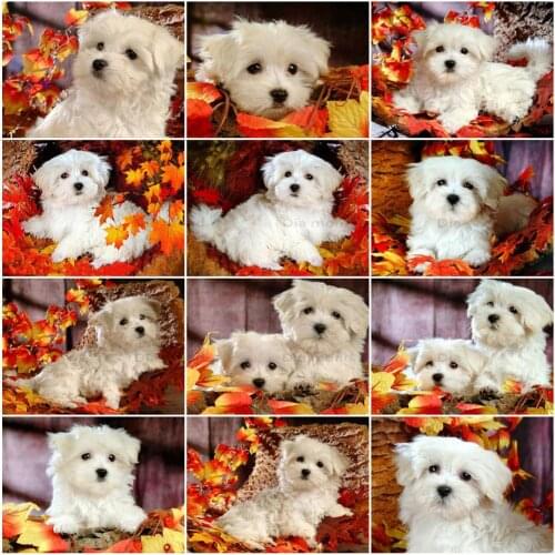 Diamond Painting Animals Dog Full Square/Round Drill 5D DIY Diamond Embroidery Animals Mosaic Rhinestone Art Home Decor