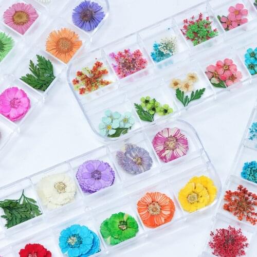 12COLORS/Box Dried Flowers Fo rCandle Aromatherapy Epoxy Resin Pendant Jewelry Necklace Making Craft Accessories Tools
