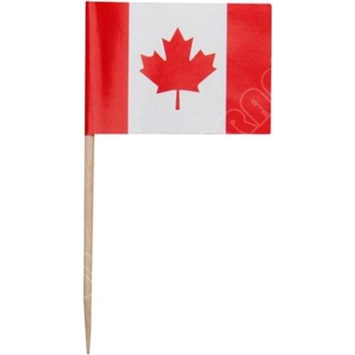 Mini Canada Toothpick Flags 50Pcs Paper Food Picks Cake Toothpicks Cupcake Toppers Fruit Cocktail Sticks DecorationToothpick
