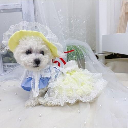 Pet Clothing for Dog Princess Dress Skirt Cat Puppy Apparel Yorkshire Pomeranian Chihuahua Poodle Bichon Small Dog Clothes XXS