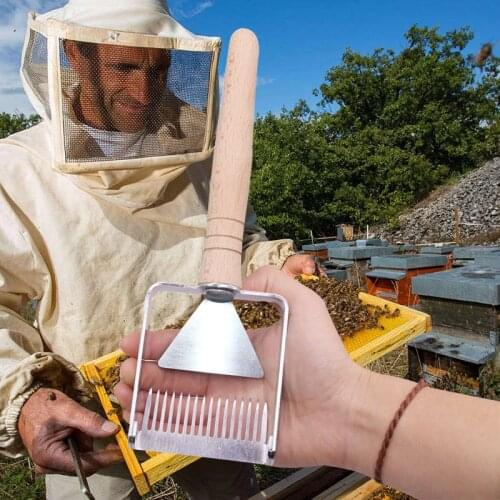 2 pcs Beekeeping Cut honey Scraper shovel Beekeeper Bee Farm Honey Storage Handling Hand Tools Beekeeping scraper